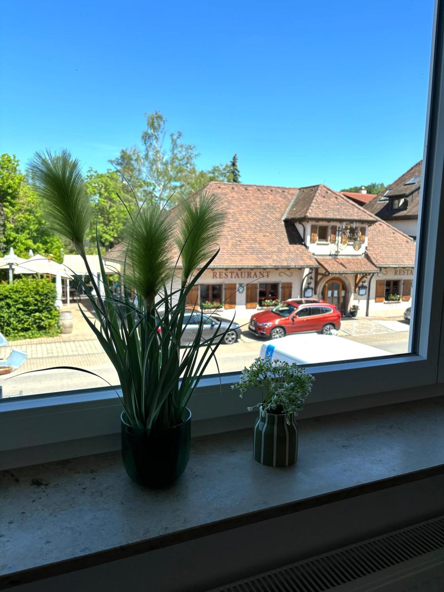 Gesamte Wohnung, Kueche, Parkplatz, Terrasse Bad Bellingen Exterior foto